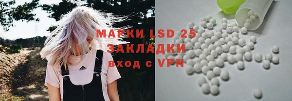 прущие грибы Бородино