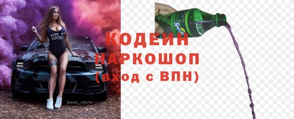 прущие грибы Бородино