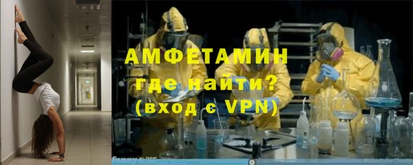 прущие грибы Бородино