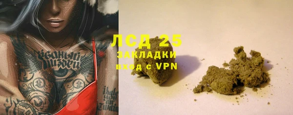 гашик Богданович