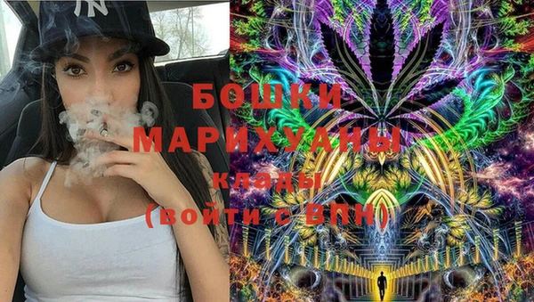 прущие грибы Бородино