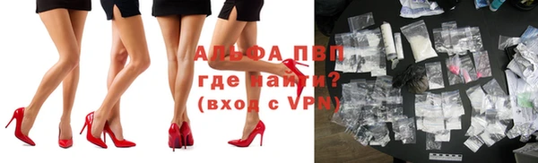 прущие грибы Бородино