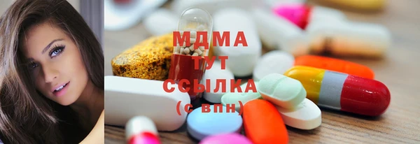 прущие грибы Бородино