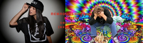скорость Бронницы