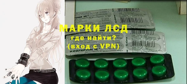 прущие грибы Бородино