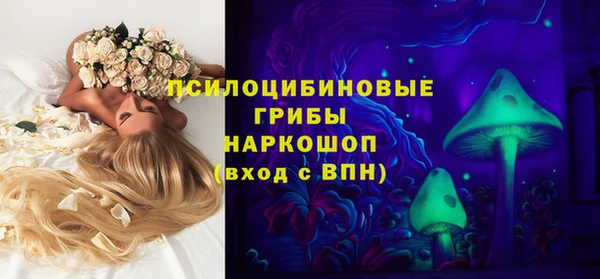 прущие грибы Бородино