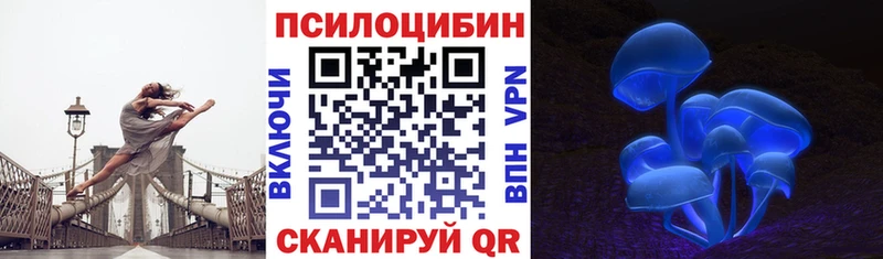дарнет шоп  Тосно  Псилоцибиновые грибы ЛСД 